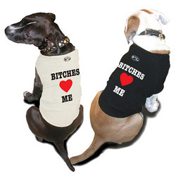 Doggie Sweatshirt - Bitches Love Me